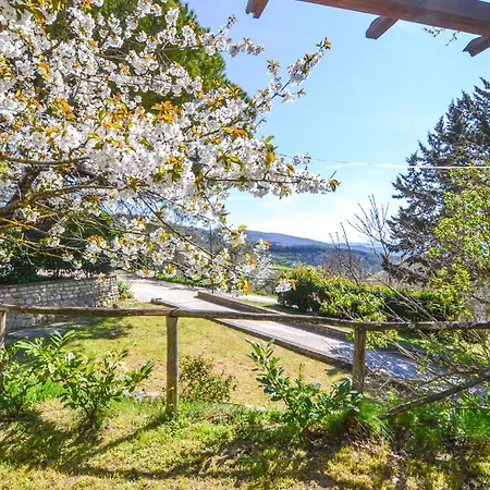 Terrazza Monte Santa Maria Tiberina