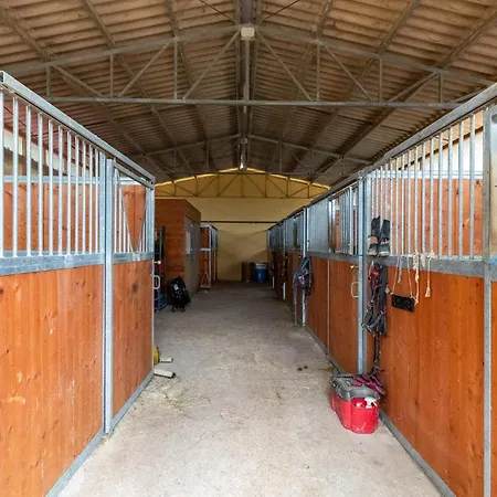 Terrazza Monte Santa Maria Tiberina