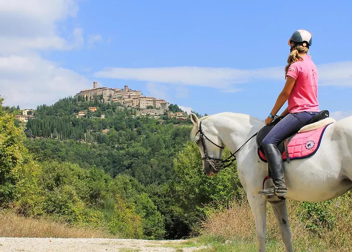 アパート Terrazza Monte Santa Maria Tiberina