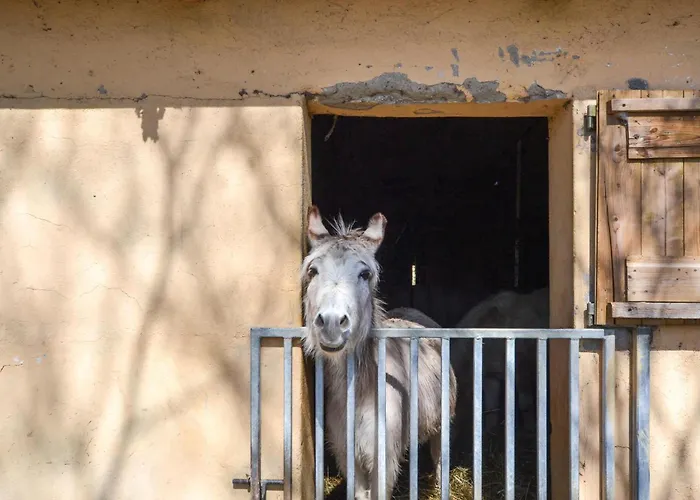 Terrazza * Monte Santa Maria Tiberina