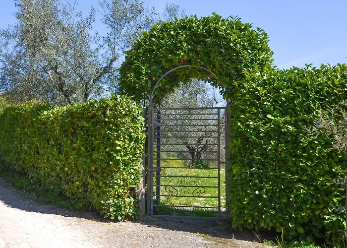 Terrazza * Monte Santa Maria Tiberina