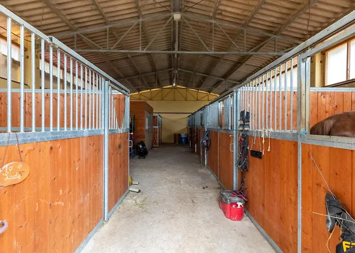 Terrazza Monte Santa Maria Tiberina